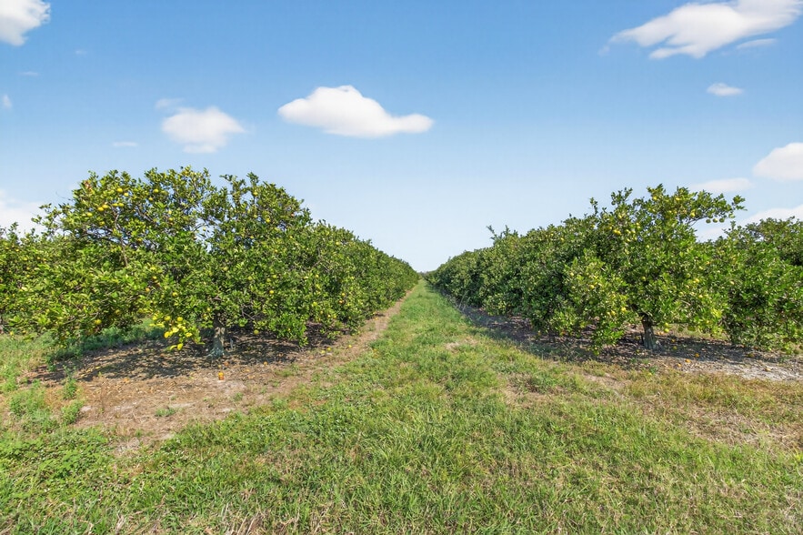 More Photos Of 8476 Ten Mile Grade, Zolfo Springs Land For Sale