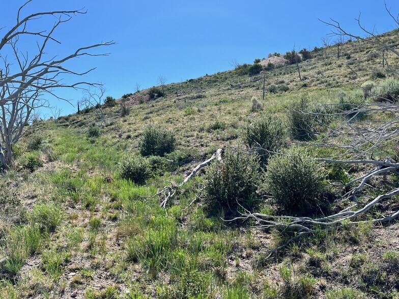 More Photos Of 0 Canyon Peak Rd, Pioche Land For Sale