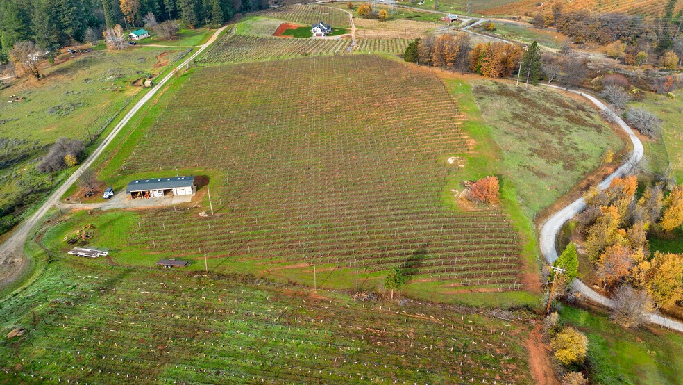 More Photos Of 2635 Cleese Rd, Camino Land For Sale