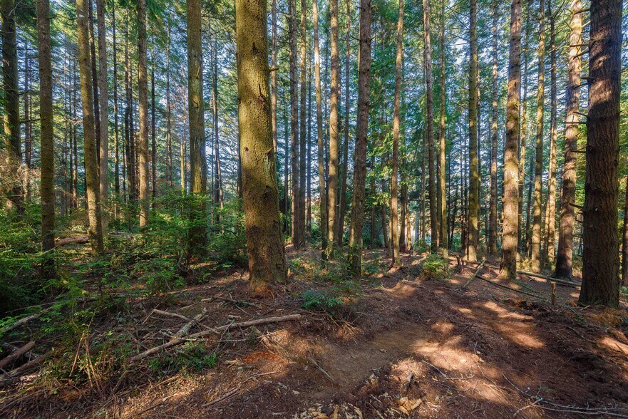 More Photos Of 0 Newmark ave, North Bend Land For Sale