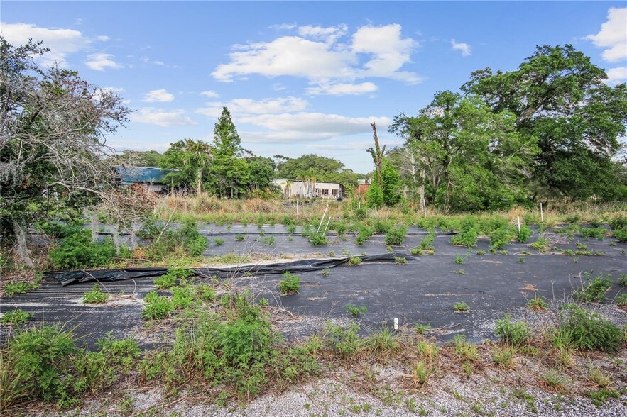 More Photos Of 145 W State Road 46, Geneva Land For Sale
