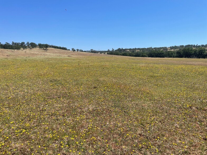 More Photos Of 295 Honey Run Road run, Chico Land For Sale