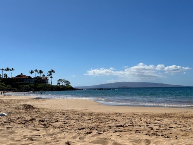 More Photos Of 3135 Lower Kula Rd, Kula Storefront Retail Office For Sale