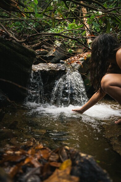 More Photos Of 111 Fiddlehead Ln, Zirconia Specialty For Sale