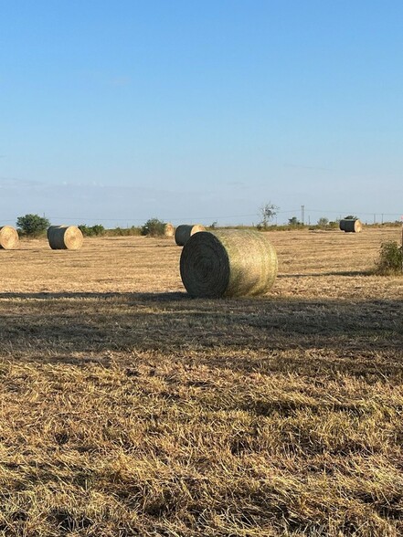 Primary Photo Of 496 FM136, Woodsboro Land For Sale