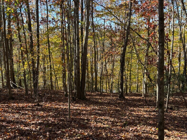 More Photos Of 169 Stone Dr, Belton Land For Sale