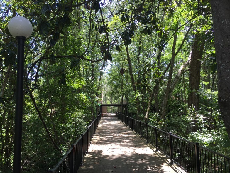 More Photos Of 2301 Park Ave, Orange Park Medical For Lease