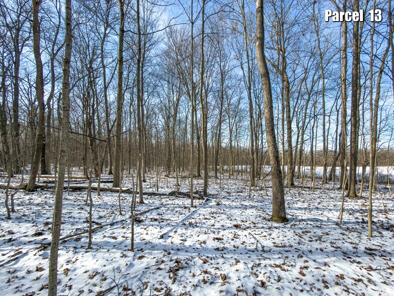 More Photos Of 11007 Watkins Road, Marysville Land For Sale