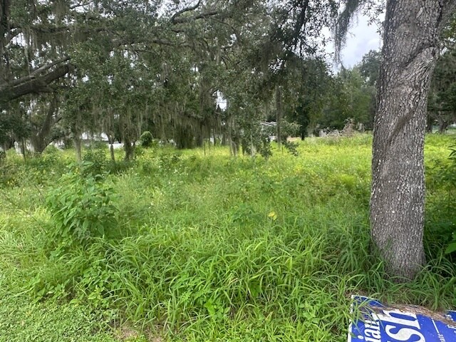 More Photos Of 0 Bloomingdale Ave & Hurley Rd, Valrico Land For Sale