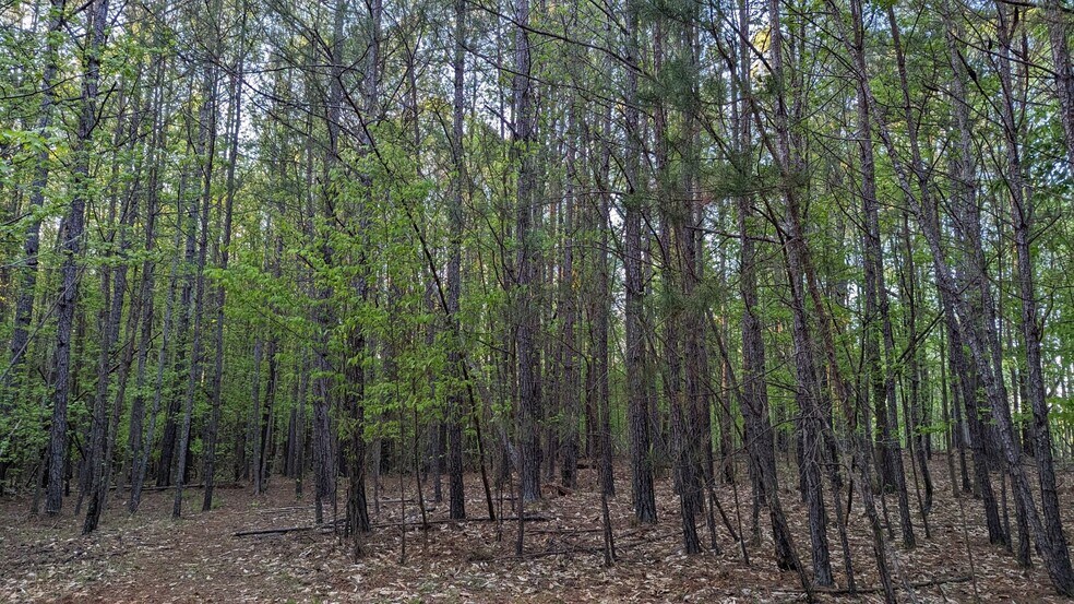 More Photos Of 0 Hathcock Road, College Park Land For Sale