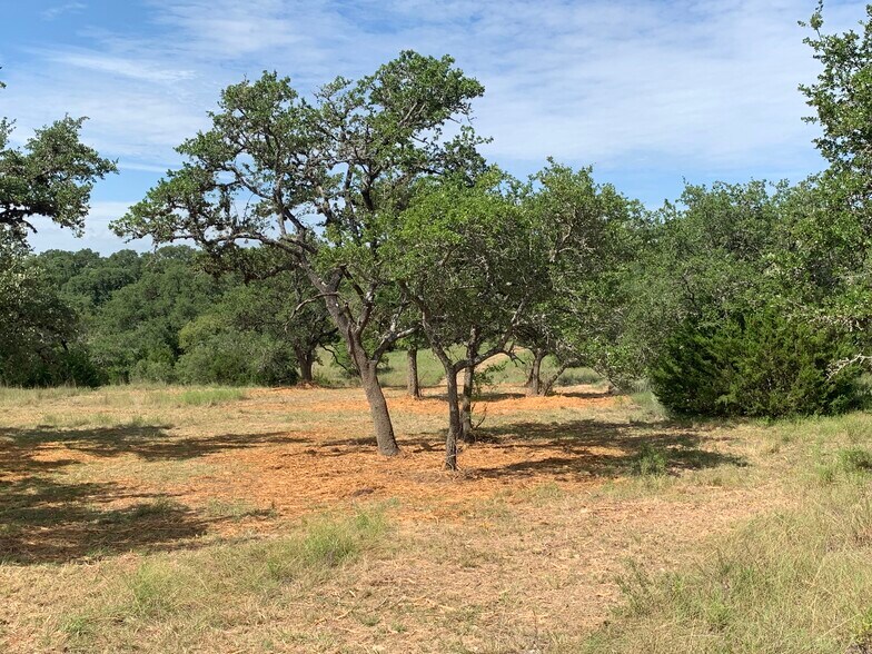 11435 Fm 32, Fischer, TX 78623 Land For Sale