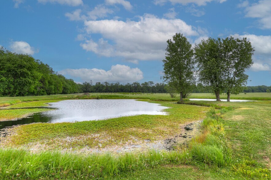 More Photos Of 25695 Mulberry Rd, Webb City Winery Vineyard For Sale