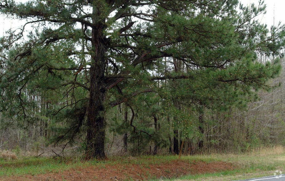 Primary Photo Of 20400 Highway 365 S, Hensley Land For Sale