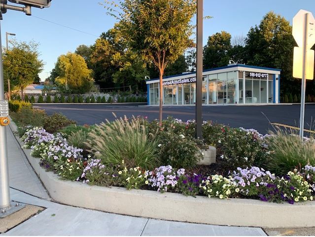 Primary Photo Of 24102 Linden Blvd, Elmont Auto Dealership For Sale