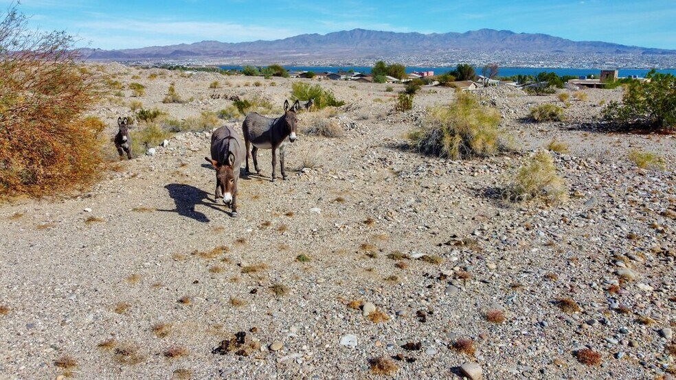 More Photos Of 12600 Havasu Lake Rd, Needles Land For Sale