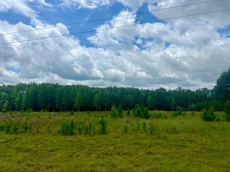 More Photos Of Hwy 82 E @ Sumner Rd, Sumner Land For Sale