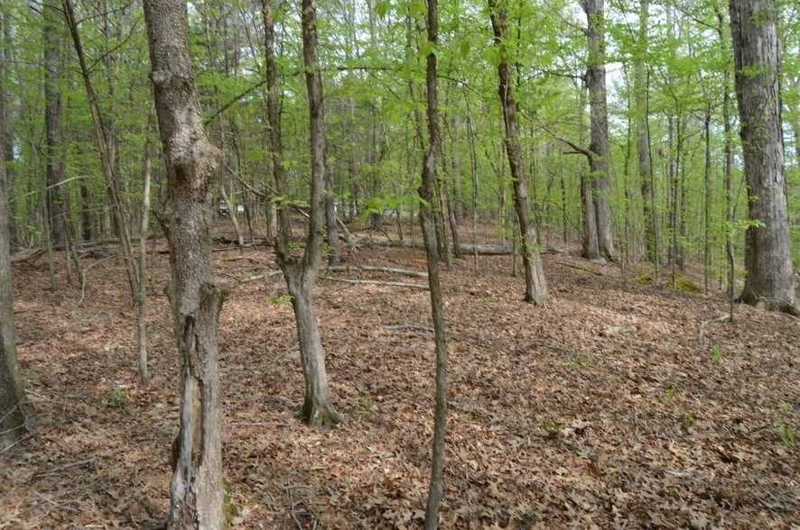 More Photos Of 0 Whipoorwill Rd, Pope Land For Sale