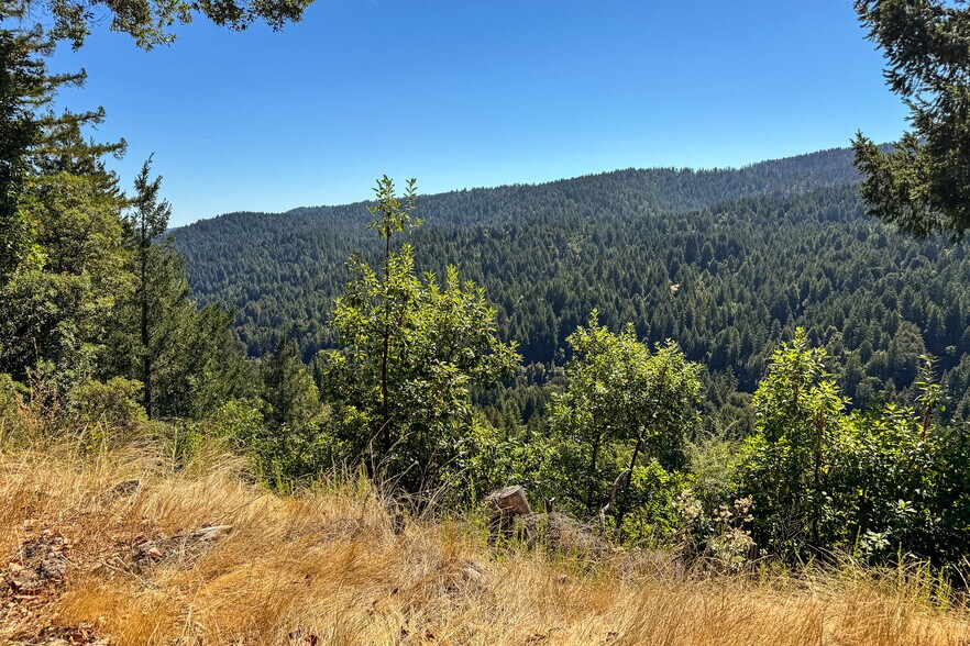 More Photos Of 1200 Roberts Rd, Ben Lomond Land For Sale