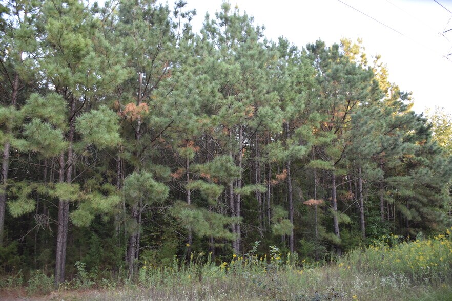 375 County Road 2104, Daingerfield, TX 75638 Schools For Sale