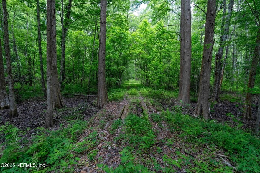 More Photos Of 8549 Acree Rd, Jacksonville Land For Sale