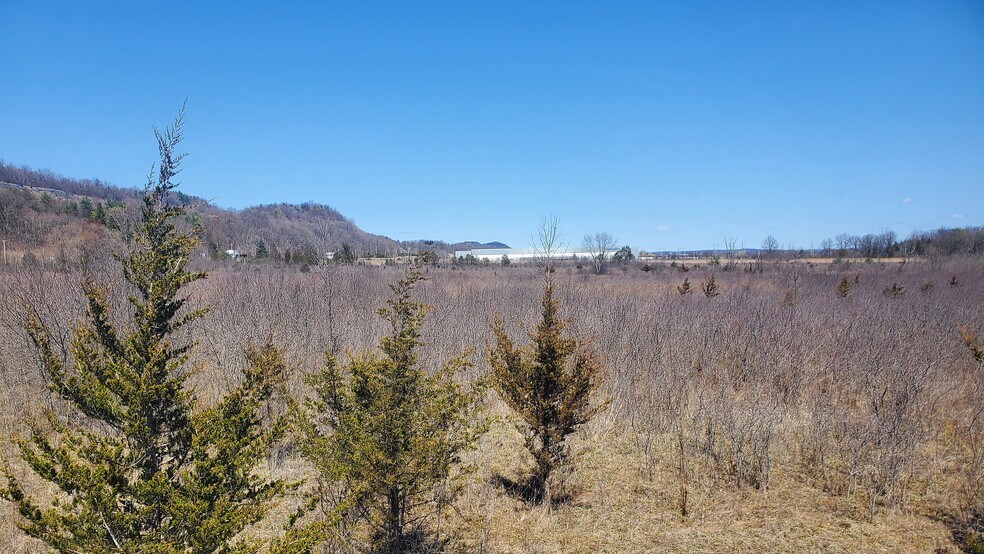 More Photos Of Old Plank Rd, Coxsackie Land For Sale