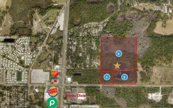 Primary Photo Of E County Road 44, Eustis Land For Sale