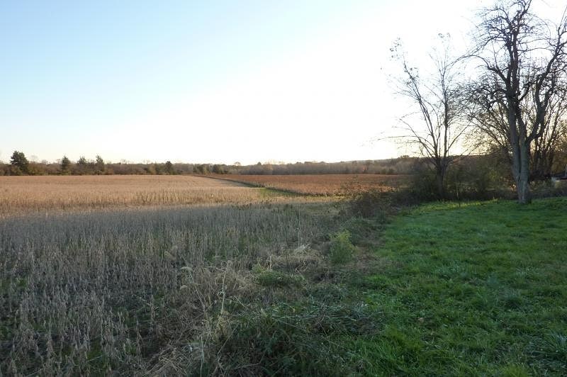 Primary Photo Of 1726 County Road 519, Pittstown Land For Sale