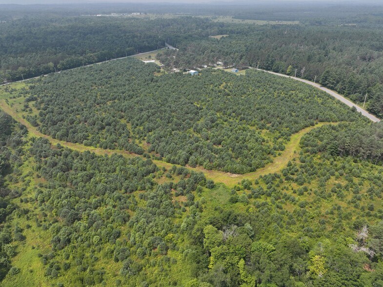 More Photos Of Darya Street, Forestport Manufactured Housing Mobile Home Park For Sale