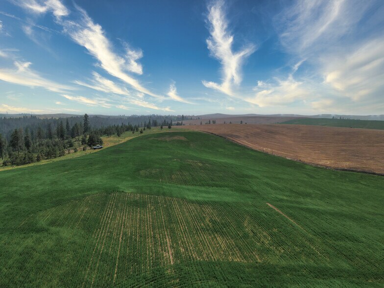 More Photos Of 45XXX Devore Rd, Davenport Land For Sale