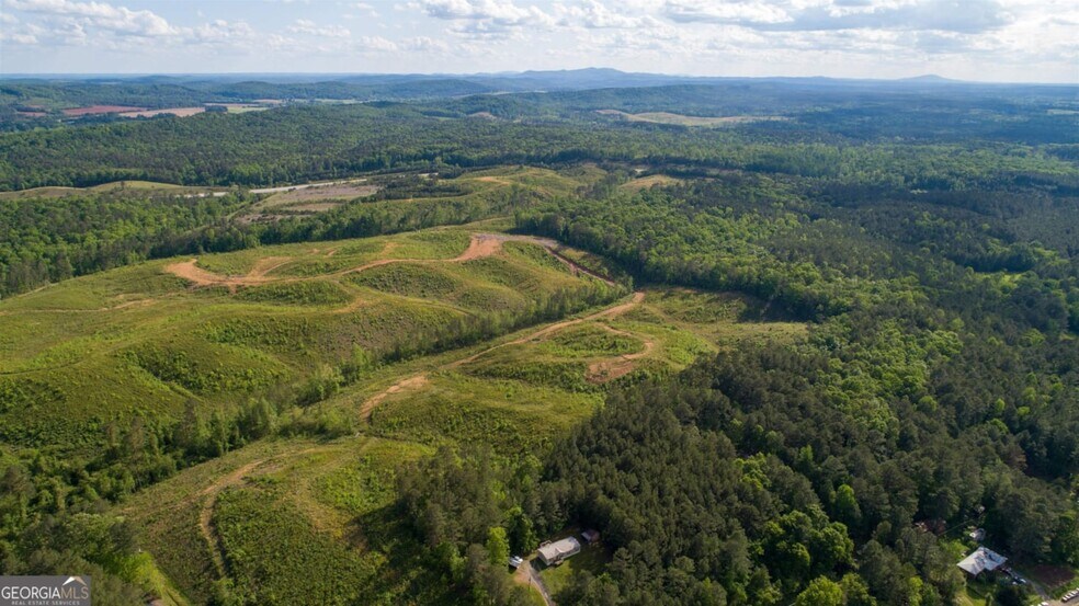More Photos Of 0 Old Blacks Bluff Rd, Rome Land For Sale