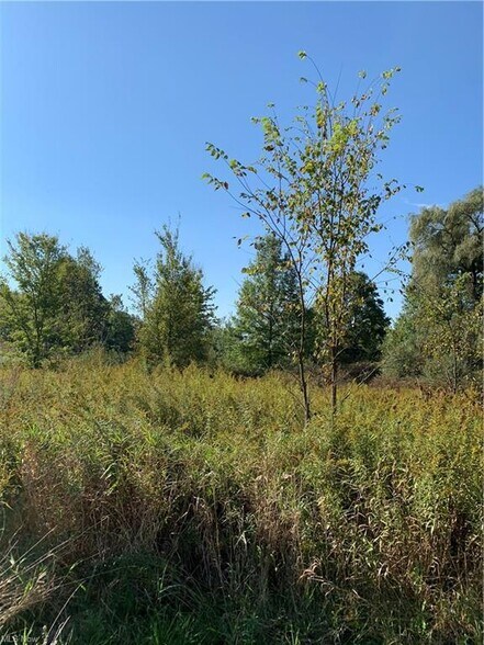 More Photos Of Bryant & SR 82 rd, Garrettsville Land For Sale