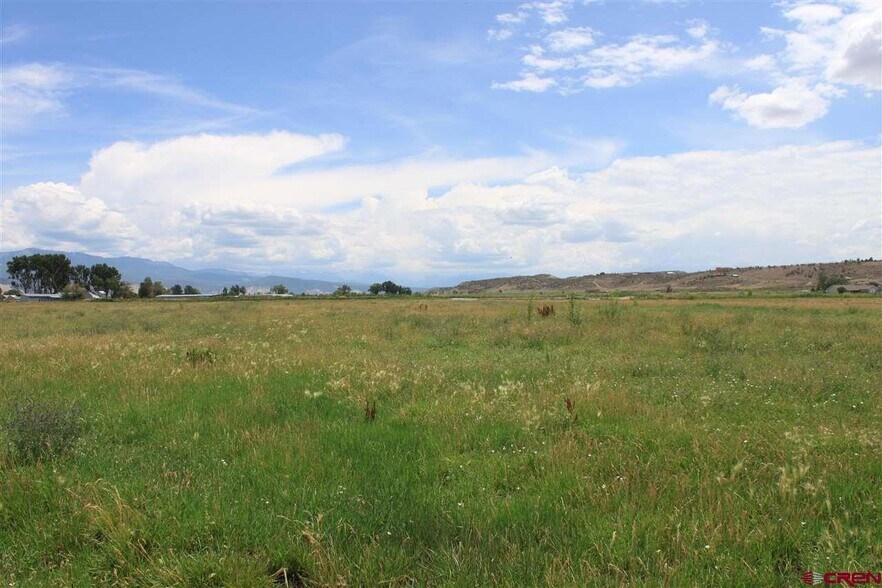 More Photos Of TBD 6600, Montrose Land For Sale