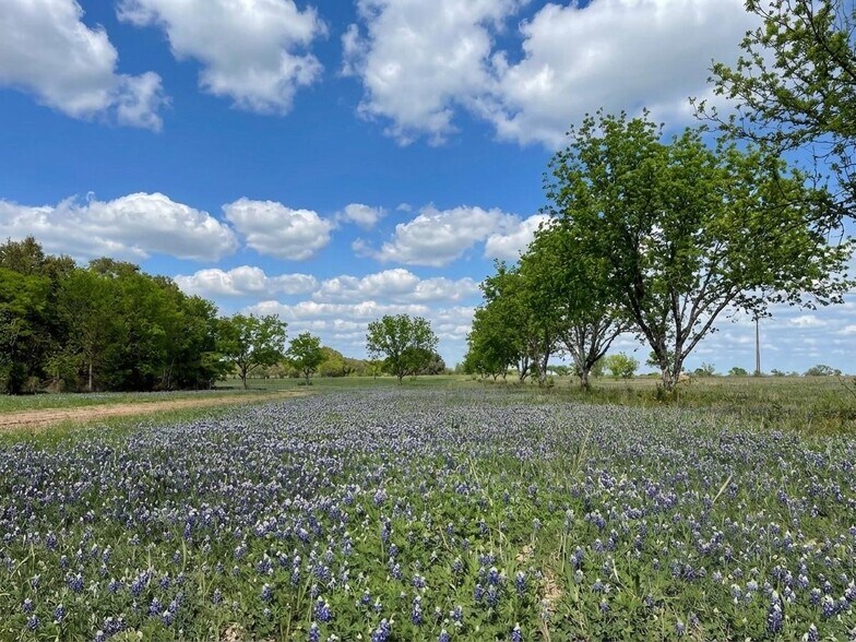 More Photos Of 7120 HWY 183 N, Early Land For Sale