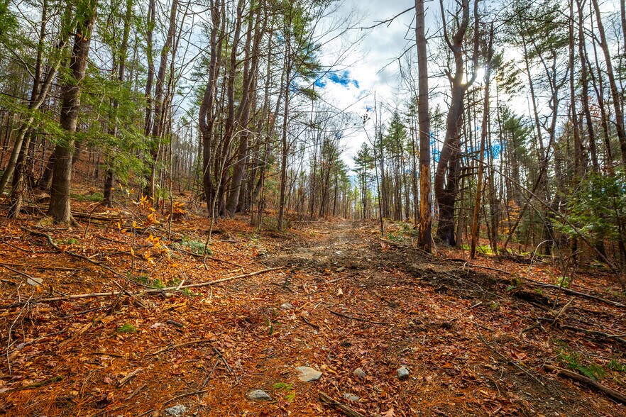 More Photos Of 40 E Putney Brook Rd, Putney Land For Sale