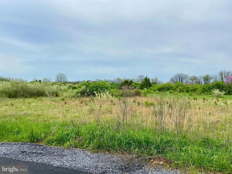 More Photos Of Hopewell Lane, Clear Brook Land For Sale