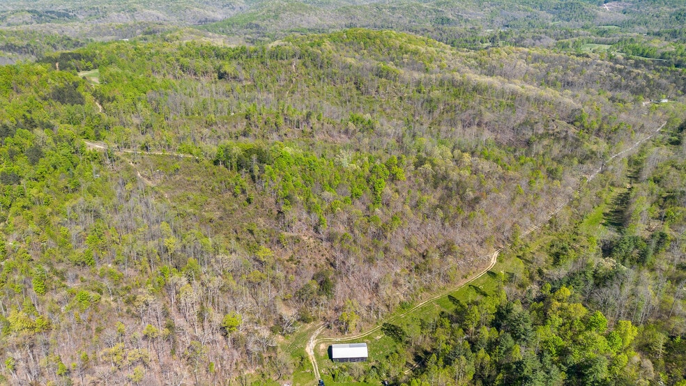 More Photos Of Knipp Branch, Grayson Land For Sale