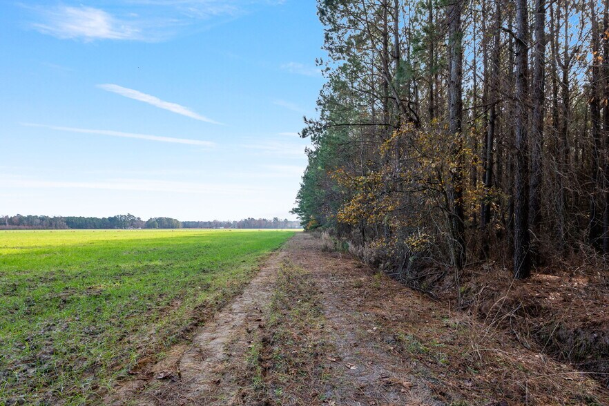 More Photos Of 10131 Ramsey st, Linden Land For Sale