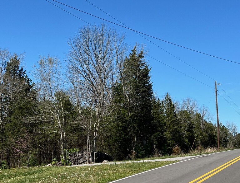More Photos Of 0 South Dickerson Chapel Rd, Lebanon Land For Sale