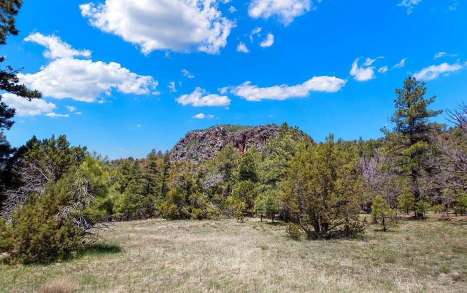 More Photos Of 18 Mormon Lake Rd, Mormon Lake Land For Sale