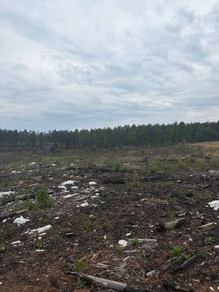 More Photos Of TBD Tarry Church Rd, Star Land For Sale
