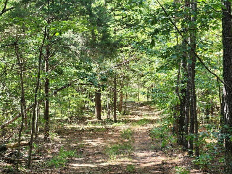 More Photos Of 138 Vaughn Rd, Charlotte Land For Sale