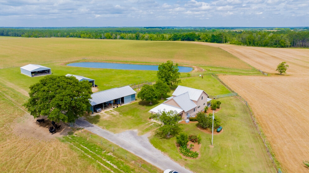 Primary Photo Of 24795A Hwy 32, Elberta Land For Sale