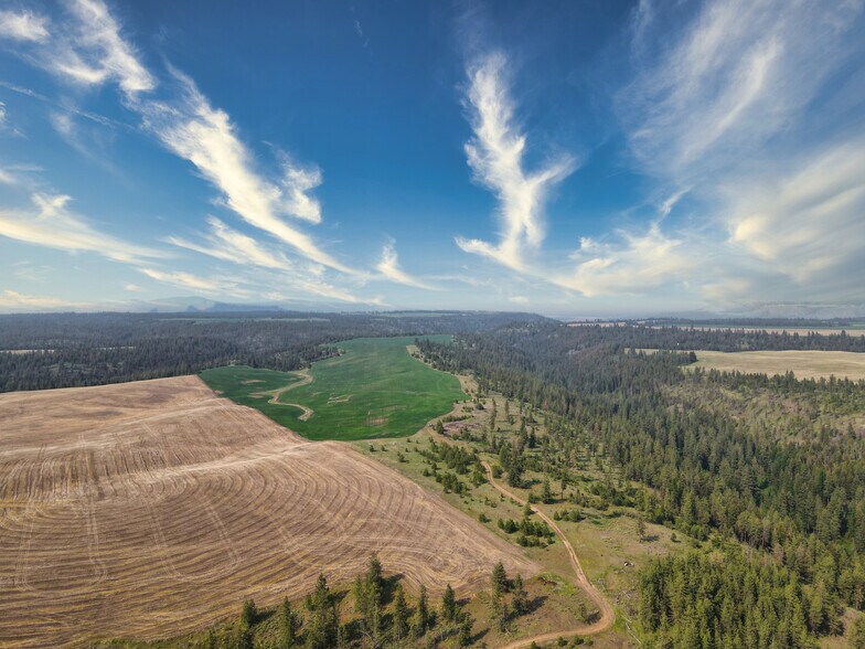 More Photos Of 45XXX Devore Rd, Davenport Land For Sale