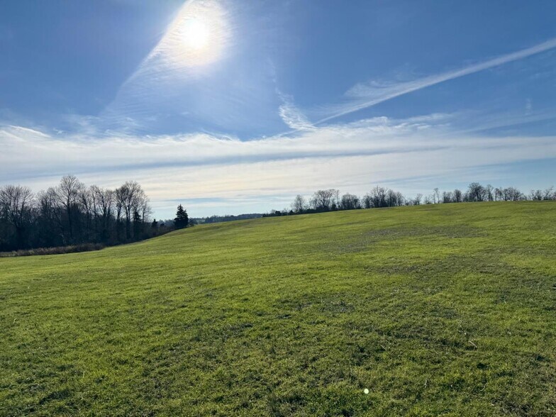 More Photos Of 1050 Stiles Ford Rd, Hodgenville Land For Sale
