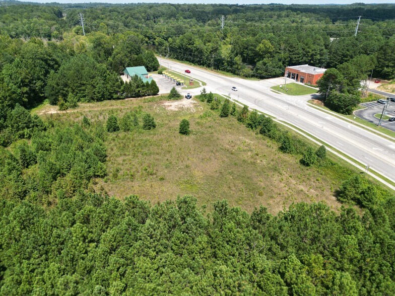 Primary Photo Of 3025 Highway 42, Stockbridge Land For Sale