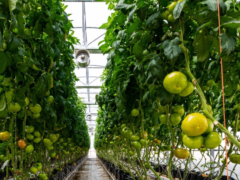 More Photos Of 15000 Picadilly Rd., Brighton Specialty For Sale