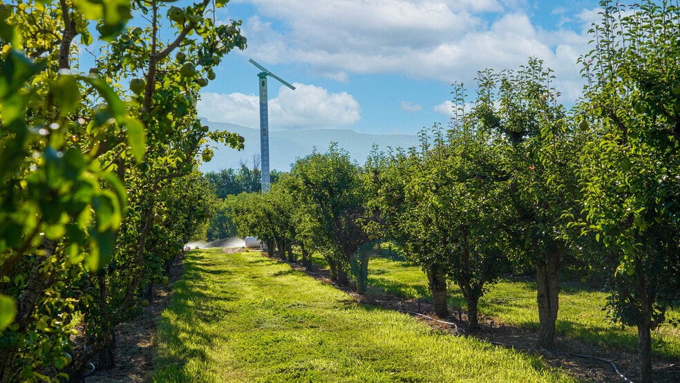 More Photos Of 3376 C Rd, Palisade Specialty For Sale