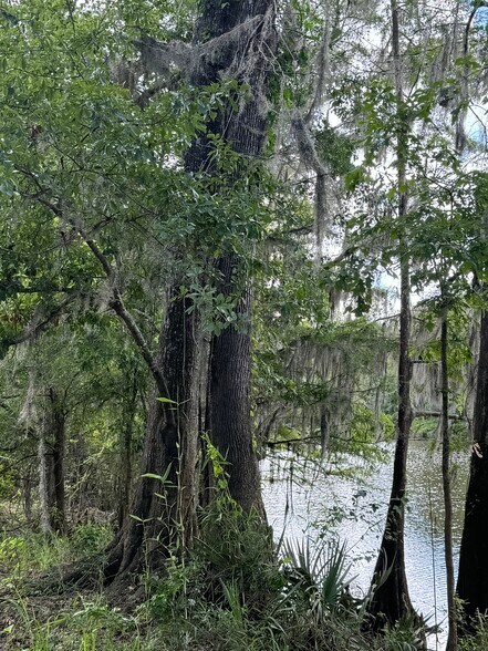 More Photos Of 2610 Highway 4, Jay Land For Sale