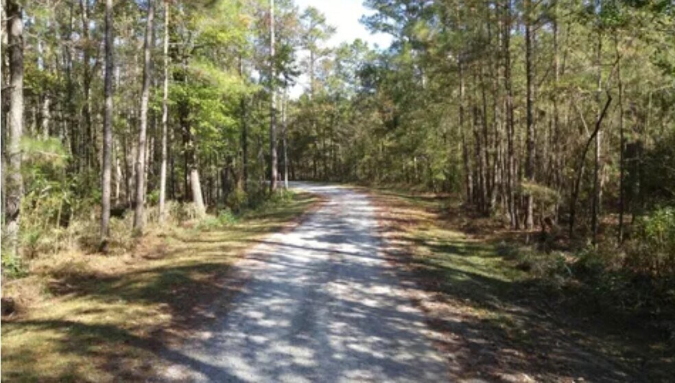 More Photos Of 577 Hoff Rd, Belhaven Land For Sale