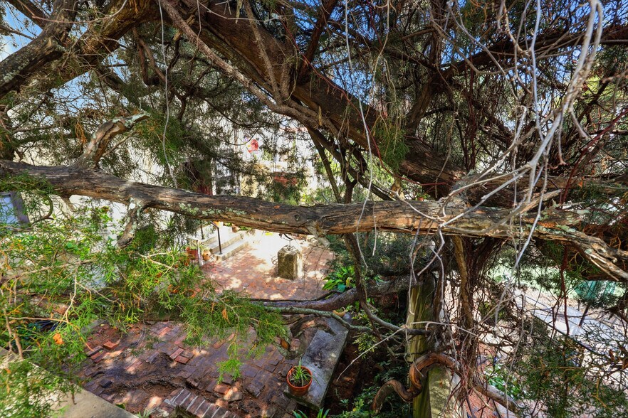 More Photos Of 50 Charlotte St, Saint Augustine Storefront Retail Office For Sale